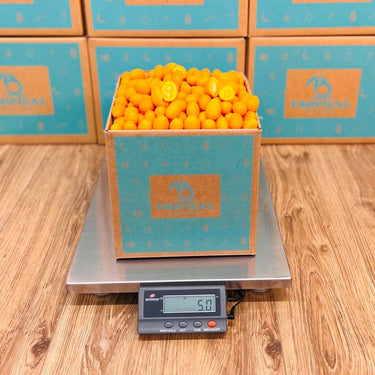Kumquat 3 lbs